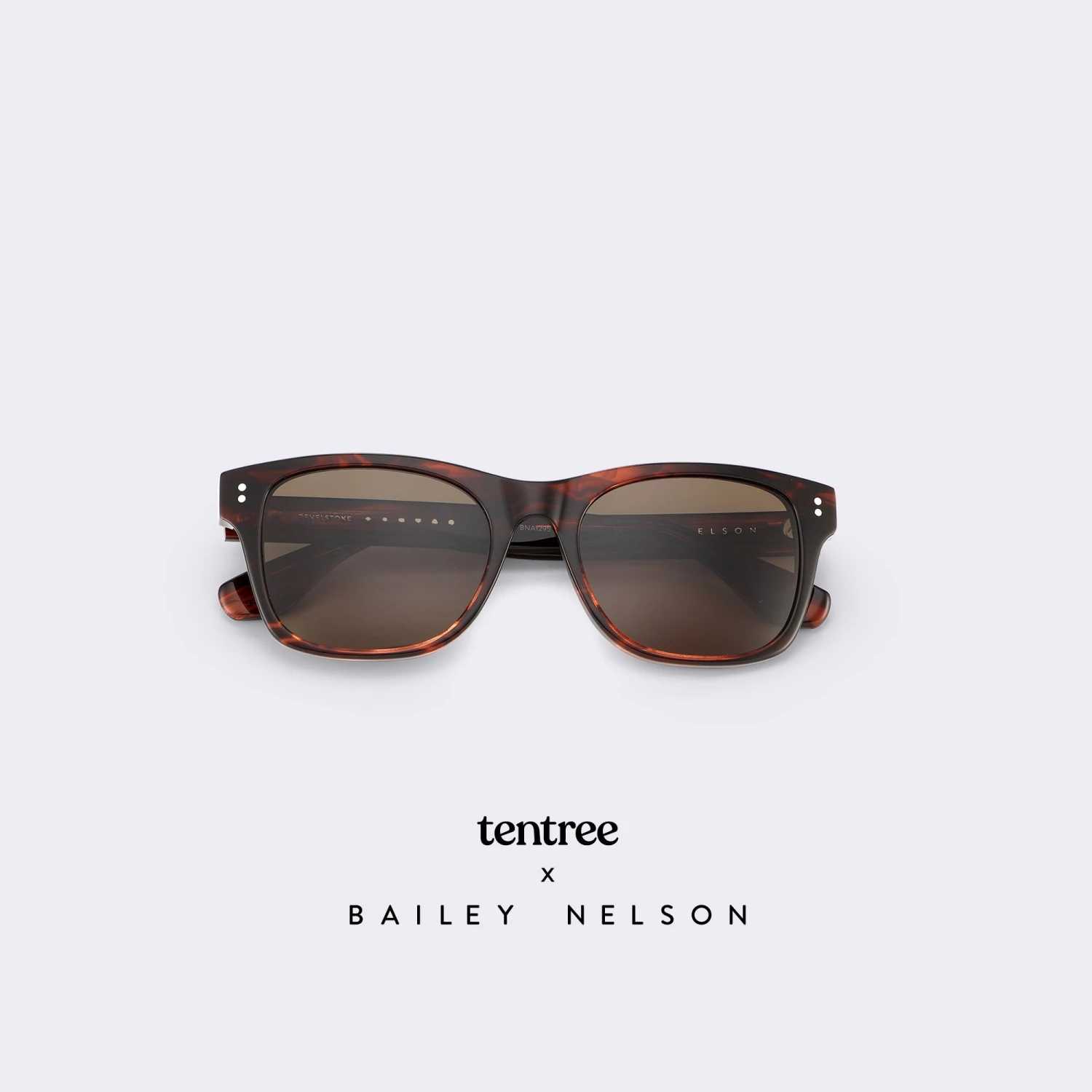 Tentree Revelstoke Sunglasses 3 Tentree Revelstoke Sunglasses