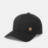 Tentree Cork Icon Elevation Hat -Tentree Store Black 6 PanelMedium Profile Baseball Cap TAU3837 0164 3