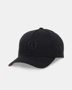 Tentree Logo Cork Brim Altitude Hat