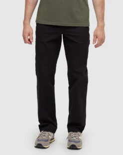 Tentree Ridgway Pant