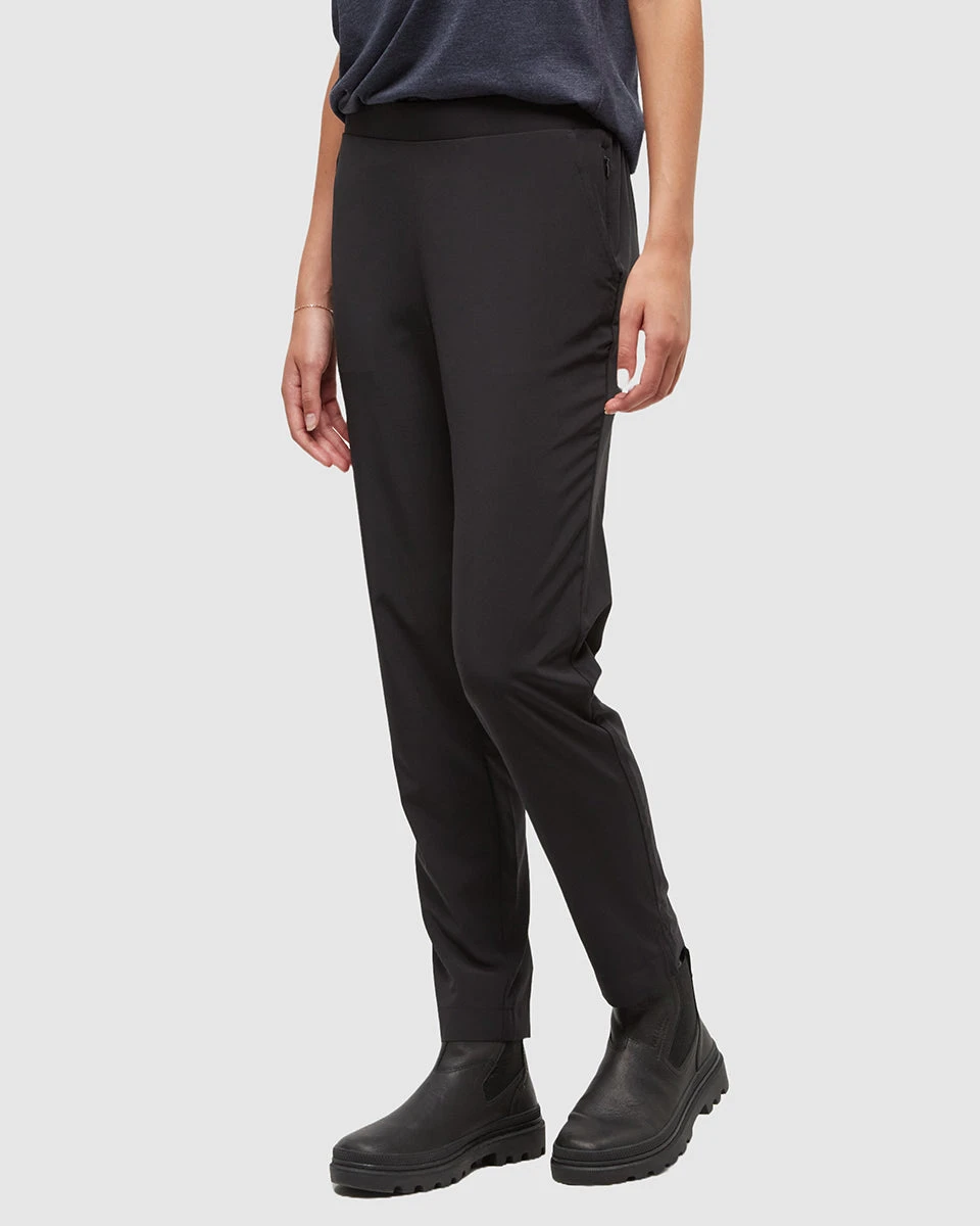 Tentree Saturna Pant 3 Tentree Saturna Pant