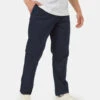 Tentree TechBlend Traverse Pant -Tentree Store Blue Mid Rise Full Length Straight Pants TCM5430 2018 2