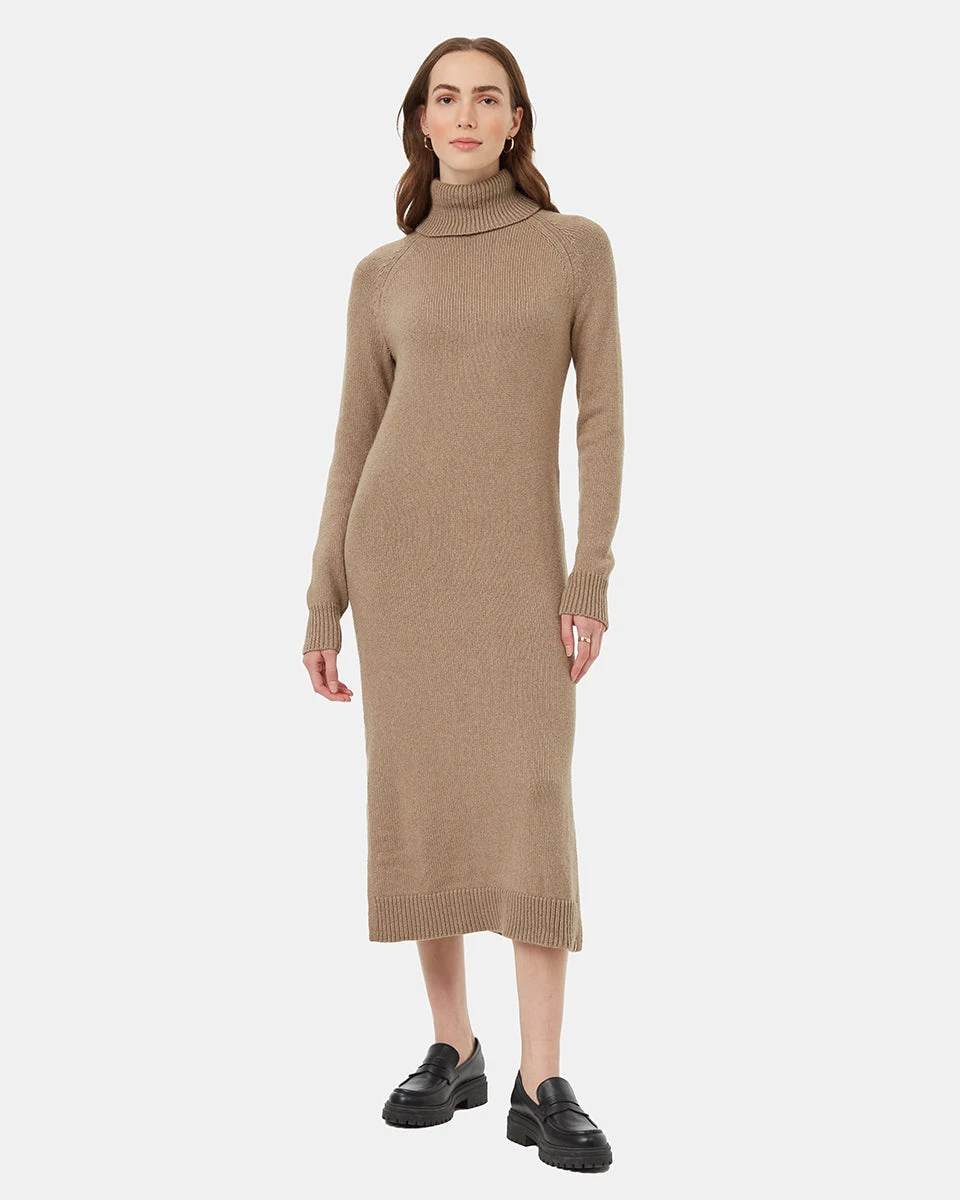 Tentree Highline Turtleneck Maxi Dress 3 Tentree Highline Turtleneck Maxi Dress