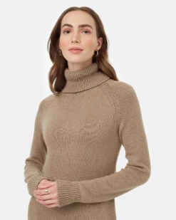 Tentree Highline Turtleneck Maxi Dress 10 Tentree Highline Turtleneck Maxi Dress -Tentree Store Brown Organic Cotton Turtleneck Maxi Dress TCW5367 2871 2