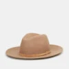 Tentree Festival Hat 1 Tentree Festival Hat -Tentree Store Brown Recycled Wool Fedora TAU1403 1419 3