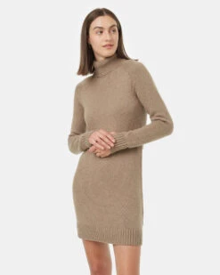 Tentree Highline Turtleneck Dress