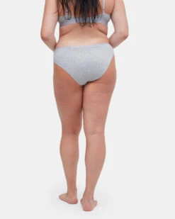 Tentree The Everyday Bikini Brief -Tentree Store Gray Women s Bikini Cut Underwear Brief TCW4334 2196 3