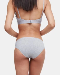 Tentree The Everyday Bikini Brief -Tentree Store Gray Women s Bikini Cut Underwear Brief TCW4334 2196 4