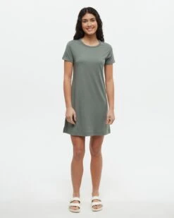 Tentree Birchwood Dress