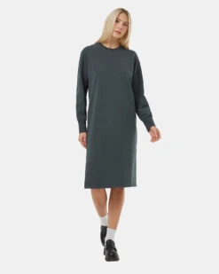 Tentree French Terry Long Sleeve Crew Dress