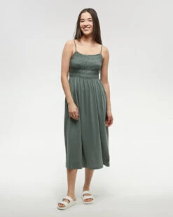 Tentree Driftwood Dress