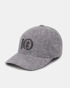 Tentree Logo Hemp Thicket Hat