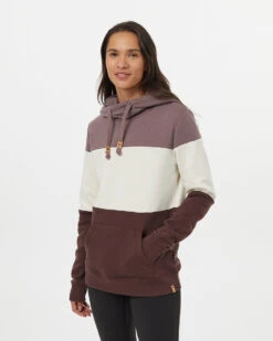Tentree Blocked Banshee Hoodie