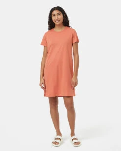 Tentree TreeBlend T-Shirt Dress