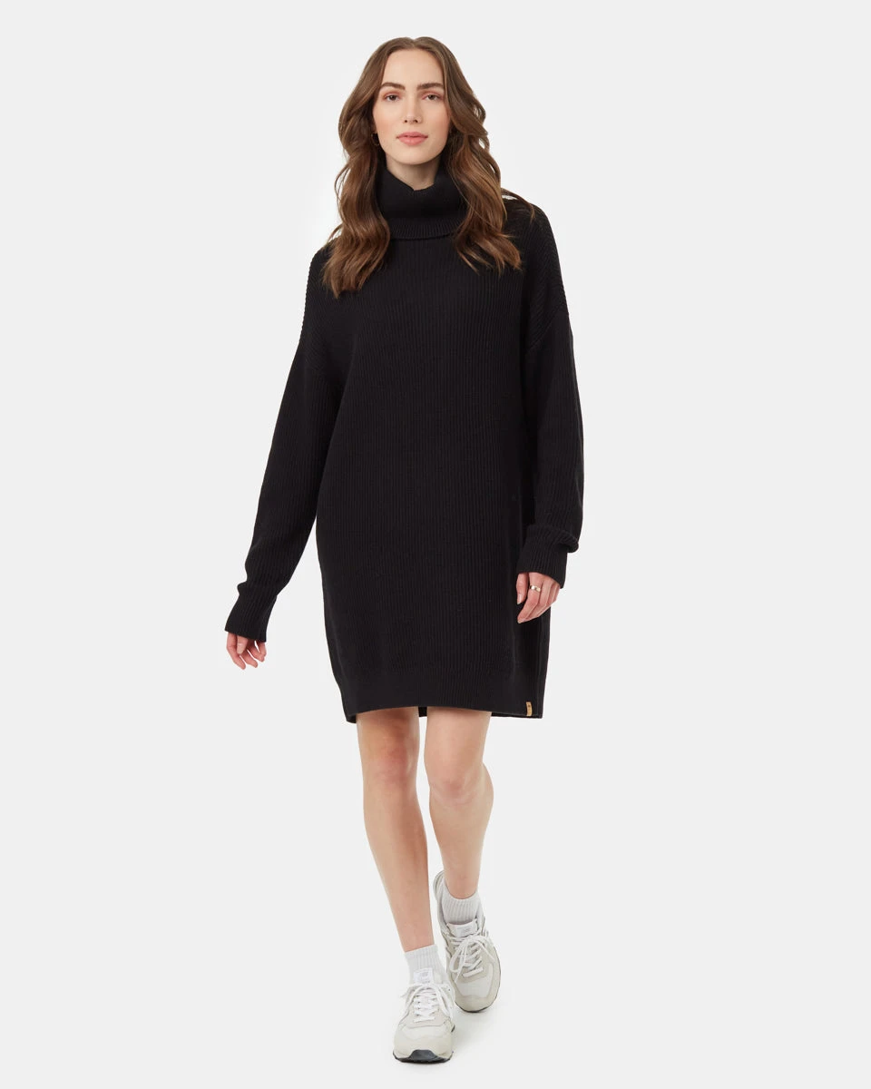 Tentree Highline Oversized Turtleneck Dress 3 Tentree Highline Oversized Turtleneck Dress