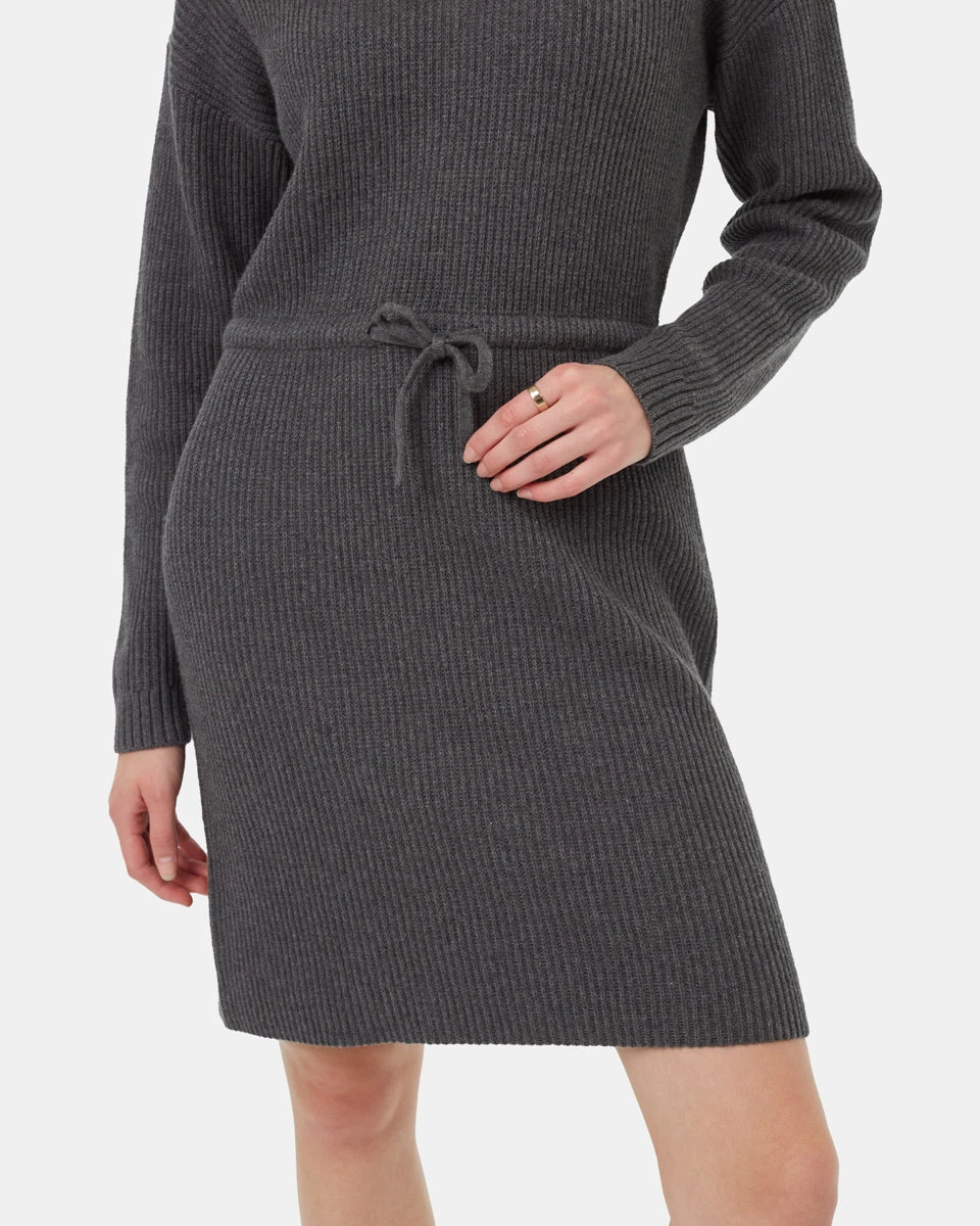 Tentree Highline Drawstring Sweater Dress 7 Tentree Highline Drawstring Sweater Dress - Image 5
